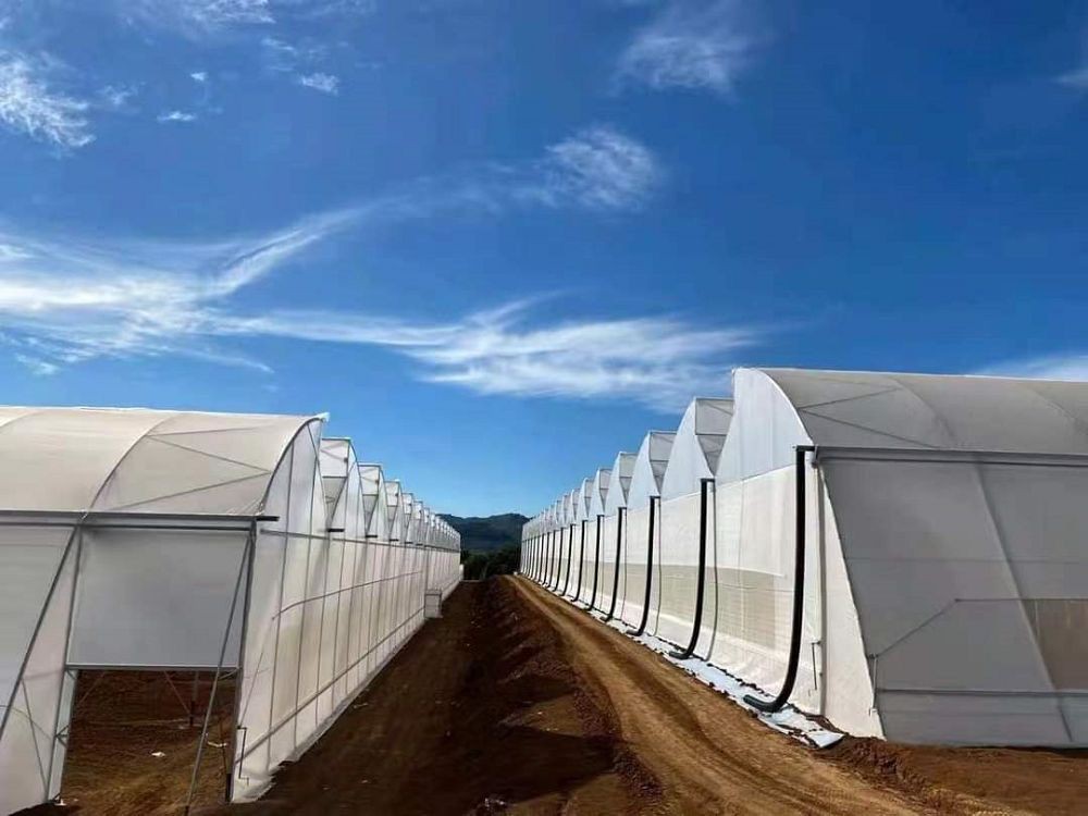 image003001 image003001