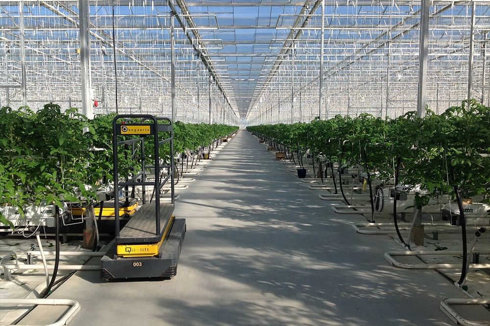 image005001 image005001