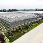 Serra tal-Film tal-Ħxejjex